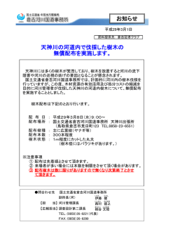 天神川の河道内で伐採した樹木の 無償配布を実施します。
