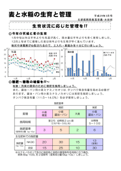 （平成29年3月号） [PDFファイル／410KB]