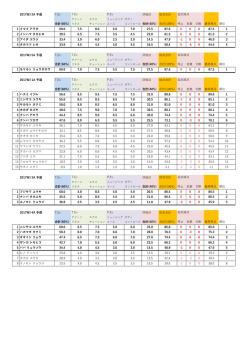 2017WJ 2A 予選 T.Ex 評価点 加点合計 合計(60%) コントロール 合計