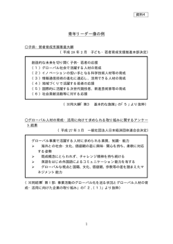 資料4 青年リーダー像の例