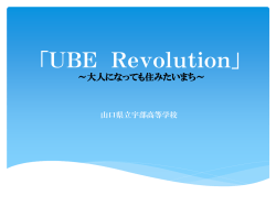 PDF：248KB