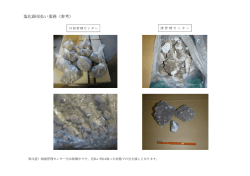 写真 [PDFファイル／76KB]