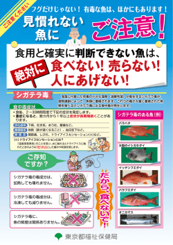 見慣れない魚にご注意！