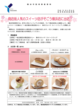 記者発表資料（PDF形式、224KB）