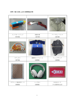 （参考）輸入を差し止めた侵害物品の例