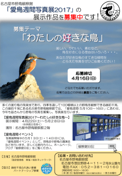 こちら - 名古屋市野鳥観察館