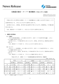 北海道百貨店・スーパー販売動向（平成29年1月