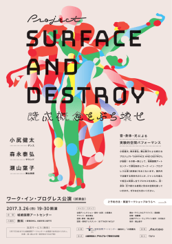 （チラシ）Surface_and_Destroy(PDF文書)