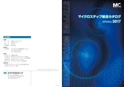 マイクロステップ総合カタログ