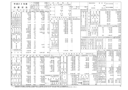 H22年度 郡上市の決算