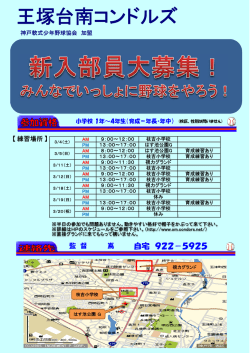 詳しくは - 王塚台南コンドルズ