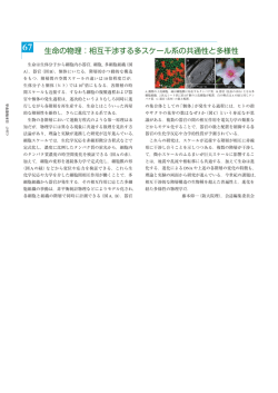 生命の物理：相互干渉する多スケール系の共通性と多様性