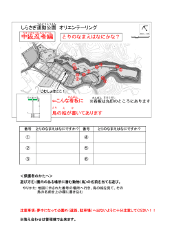 中級忍者編 (ファイル名：tyuukyuu サイズ：512.87KB)