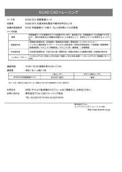 詳細（PDF
