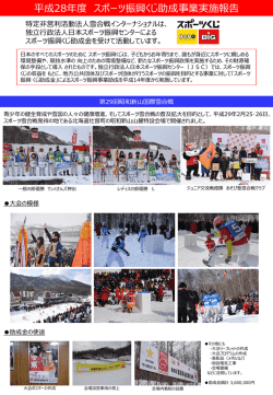 平成28年度助成事業実施報告