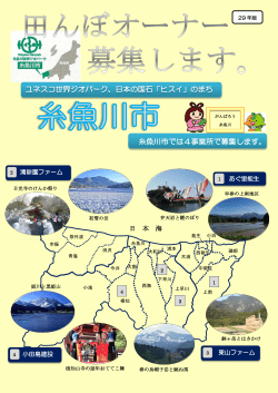 日本の国石「ヒスイ」のまち 糸魚川市では4事業所で募集します。