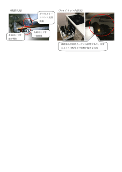 （焼損状況） （キャビネット内状況）