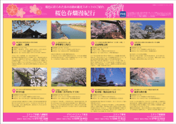 桜色春爛漫紀行