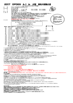 案内書 - OPDES
