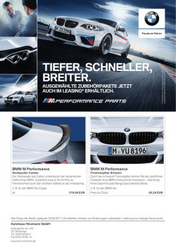 M Performance - BMW Hinzmann