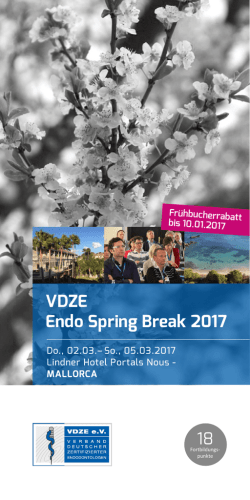 Flyer - VDZE