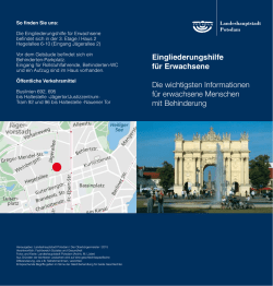 Eingliederungshilfe f&uuml;r Erwachsene - Flyer