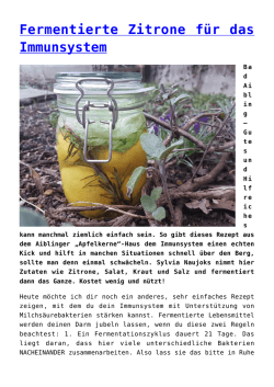 Fermentierte Zitrone f&uuml;r das Immunsystem