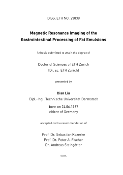 Magnetic Resonance Imaging of the - ETH E
