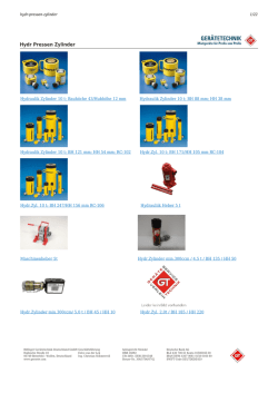 Hydr Pressen Zylinder