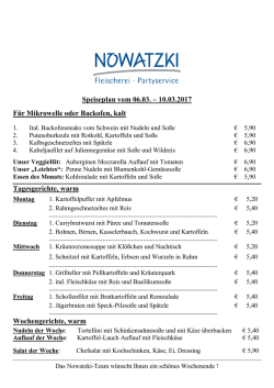 Ich lade mir den Speiseplan als PDF herunter
