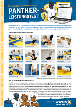InfoFlyer als PDF