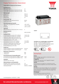 Yuasa NP65-12I Industrial VRLA Battery