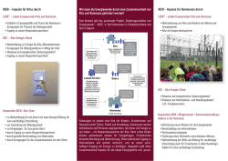 KIEN – Impulse für Kitas durch KEC – Kita-Energie