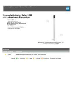 Feuerwehrleitpfosten -Bollard- &Oslash; 60 mm -ortsfest-, zum