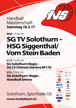 Handball Meisterschaft