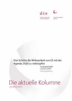 Drei Schritte die Wirksamkeit von EZ mit der Agenda 2030 zu
