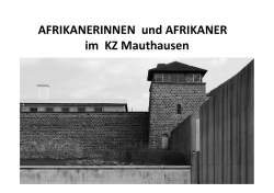 Die Zusammenfassung als pdf - M
