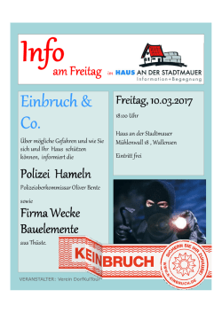 einbruch und Co_100317