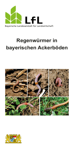Regenwürmer in Ackerböden_210x100mm_ für Internet.cdr