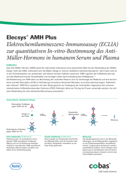 Elecsys ® AMH Plus Testprinzip