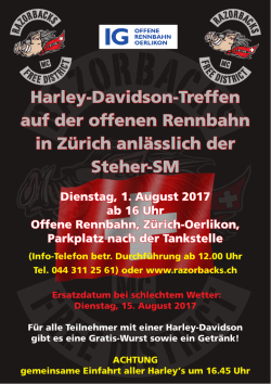 Harley Treffen 2017 - Offene Rennbahn Oerlikon