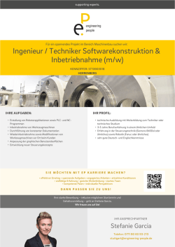 Ingenieur / Techniker Softwarekonstruktion