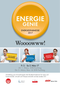 Einreichung Energie Genies 2017