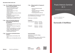 Praxis-Intensiv-Seminar EC 3 Eurocode 3 Stahlbau