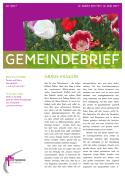 graue passion - Stiftskirche T&uuml;bingen