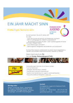 ein jahr macht sinn - Evangelischen Jugend F&uuml;rth