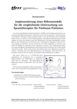 Implementierung eines R&ouml;hrenmodells f&uuml;r die vergleichende