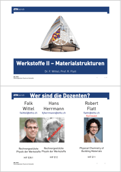 Hans Herrmann Robert Flatt Falk Wittel