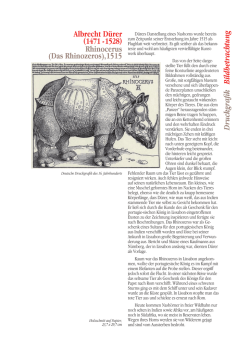 Rhinocerus, 1515 - Staatliche Kunsthalle Karlsruhe