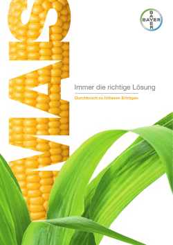 Immer die richtige L&ouml;sung